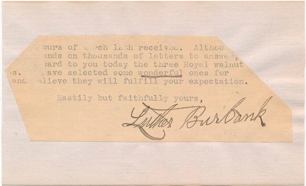 BURBANK, Luther (1849-1926) - Typed Note Signed