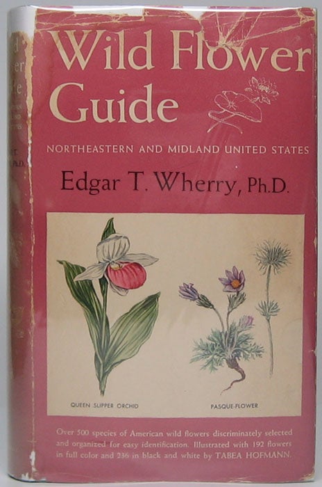 Item #44586 Wild Flower Guide: Northeastern and Midland United States. Edgar T. WHERRY.