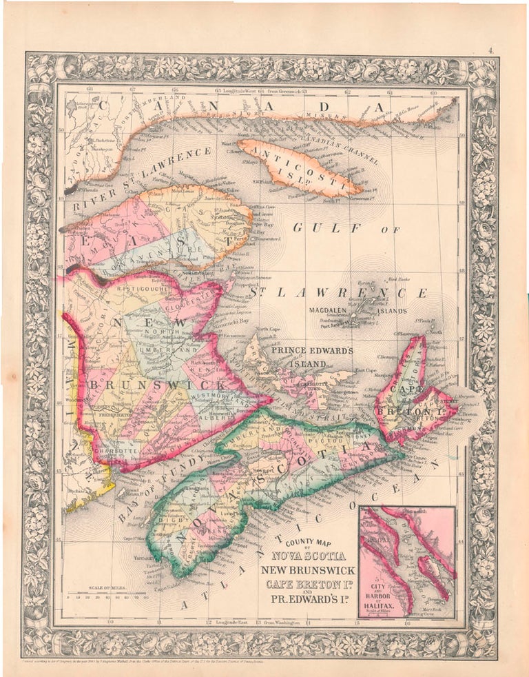 Item #45500 County Map of Nova Scotia New Brunswick Cape Breton Id. and Pr. Edward's Id. NOVA SCOTIA -- NEW BRUNSWICK -- CAPE BRETON -- PRINCE EDWARD'S ISLAND -- Map.